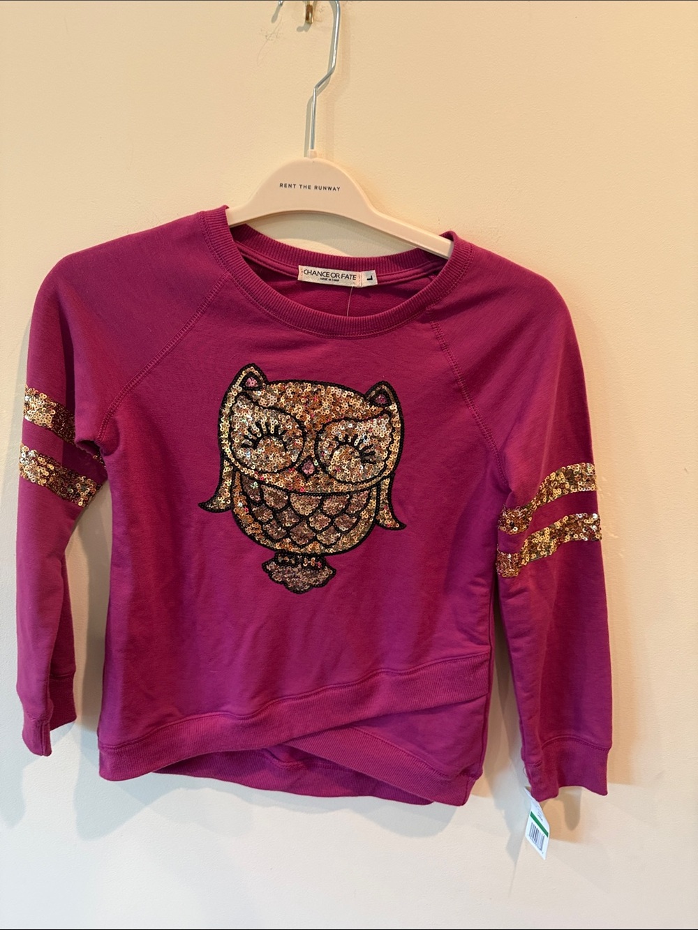 Chance or Fate Fuchsia Sequin Owl Sweatshirt